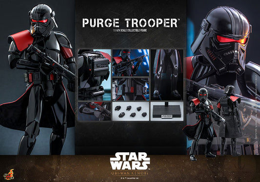Star Wars Hot Toys 1/6 Scale Purge Trooper