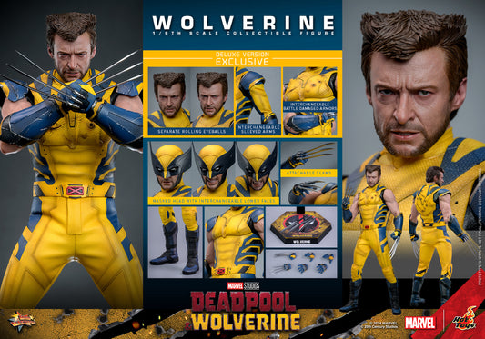 Marvel Hot Toys 1/6 Scale Wolverine (Deluxe Version)